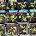 Echinacea purpurová (Echinacea purpurea) ´MAGNUS´, kont. P9